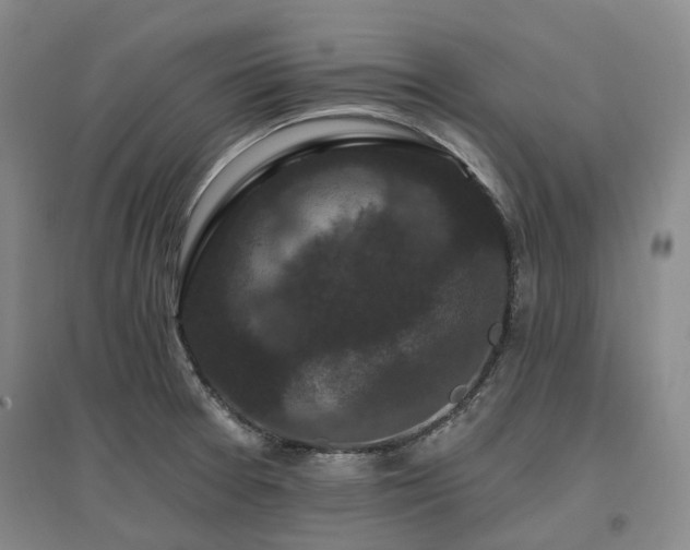 X0000097491377200802221405