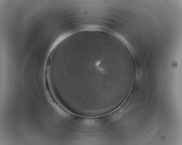 X0000097491378200802221405