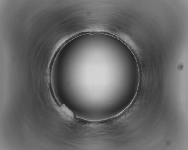 X0000097491380200802221405