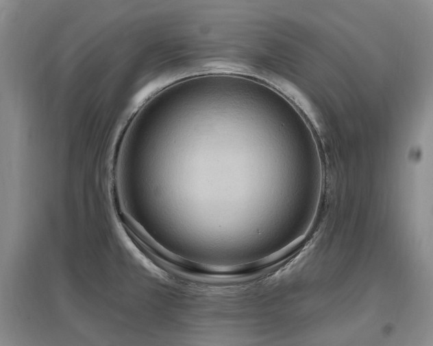 X0000097491381200802221405