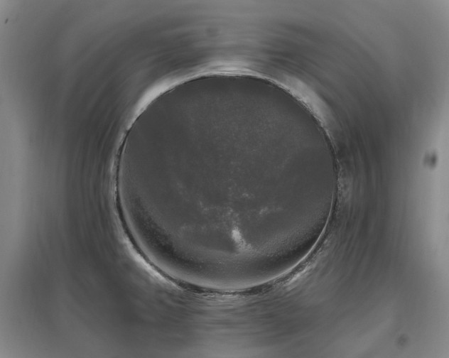 X0000097491382200802221405