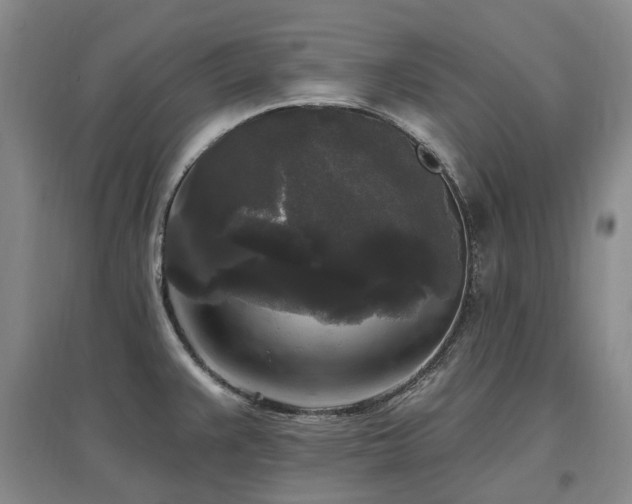 X0000097491383200802221405
