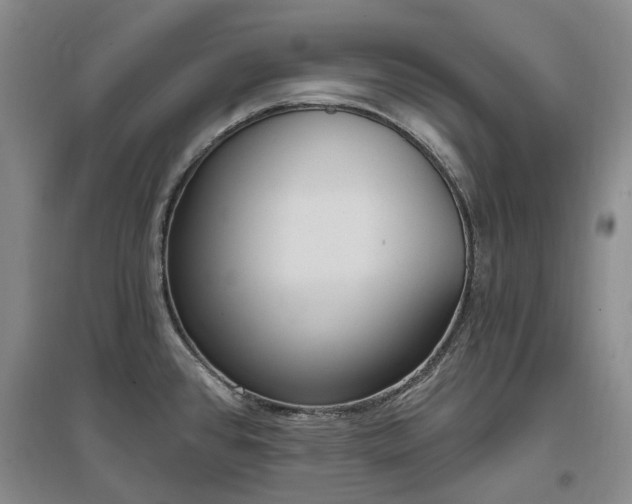 X0000097491384200802221405