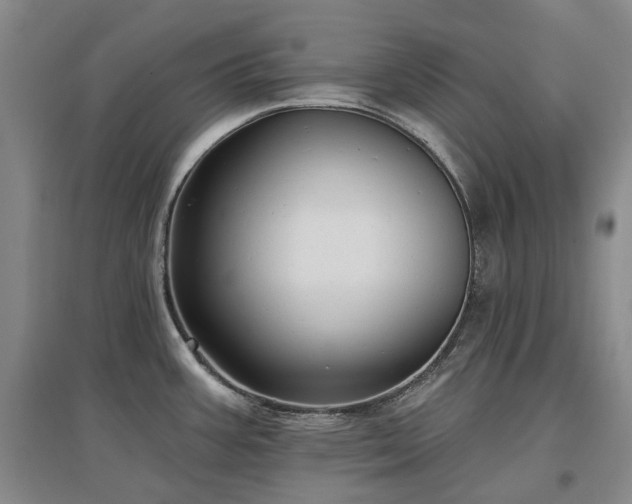 X0000097491387200802221405