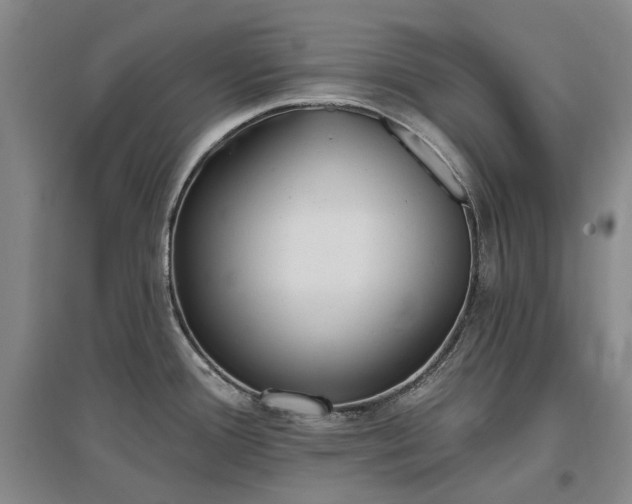 X0000097491388200802221405