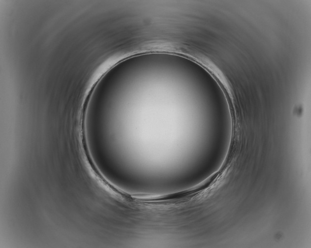 X0000097491389200802221405