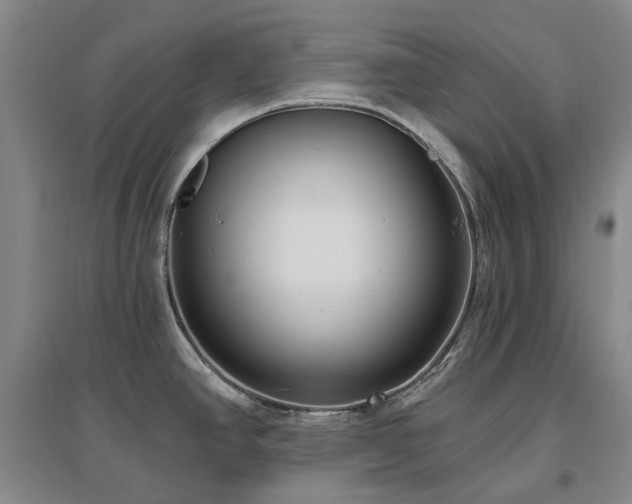 X0000097491390200802221405