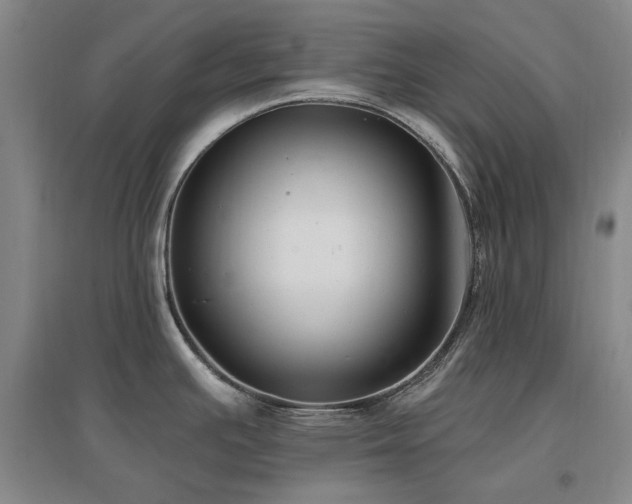 X0000097491391200802221405
