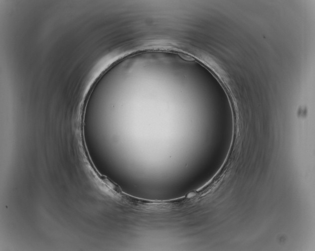 X0000097491392200802221405