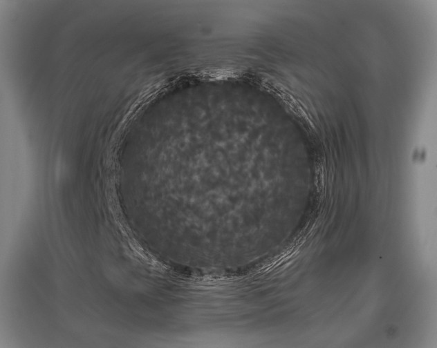 X0000097491393200802221404