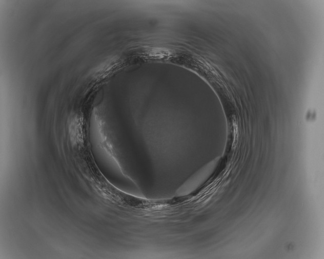 X0000097491394200802221404