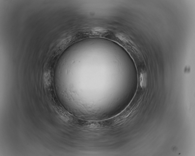 X0000097491395200802221404