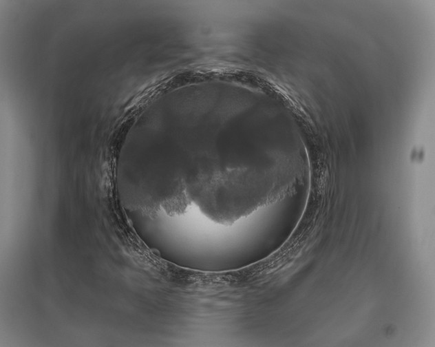 X0000097491397200802221404