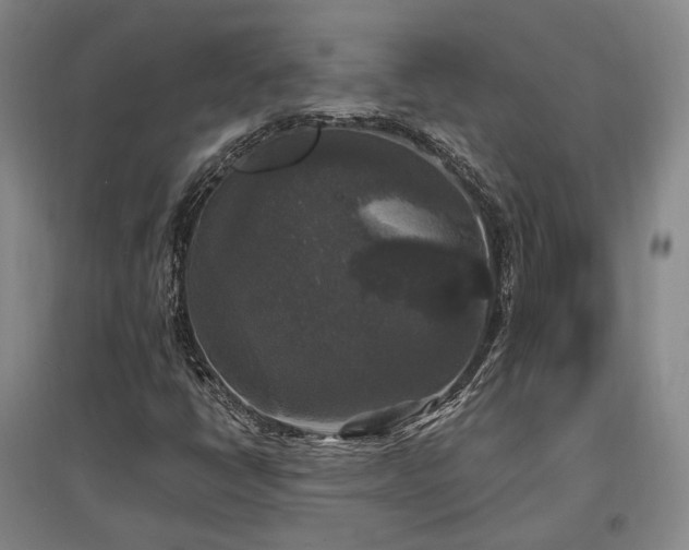X0000097491398200802221404