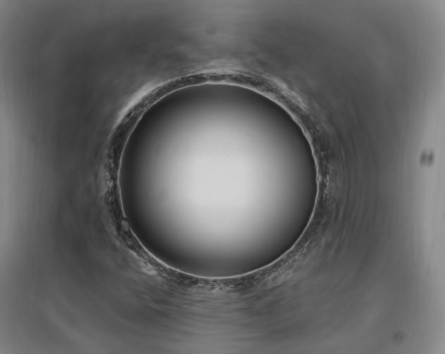 X0000097491400200802221404