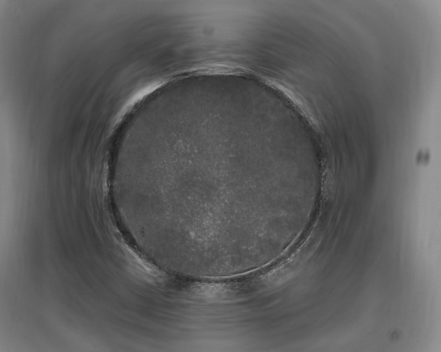 X0000097491402200802221404