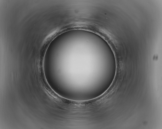 X0000097491403200802221404