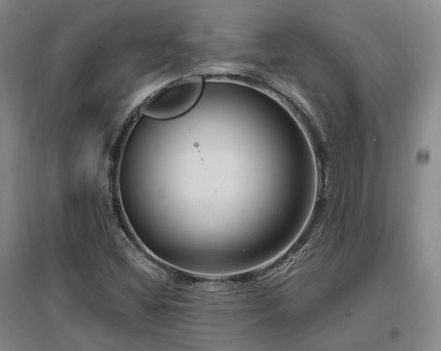 X0000097491404200802221404