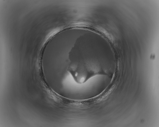 X0000097491405200802221404