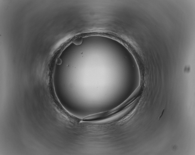 X0000097491406200802221404
