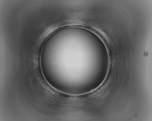 X0000097491407200802221404