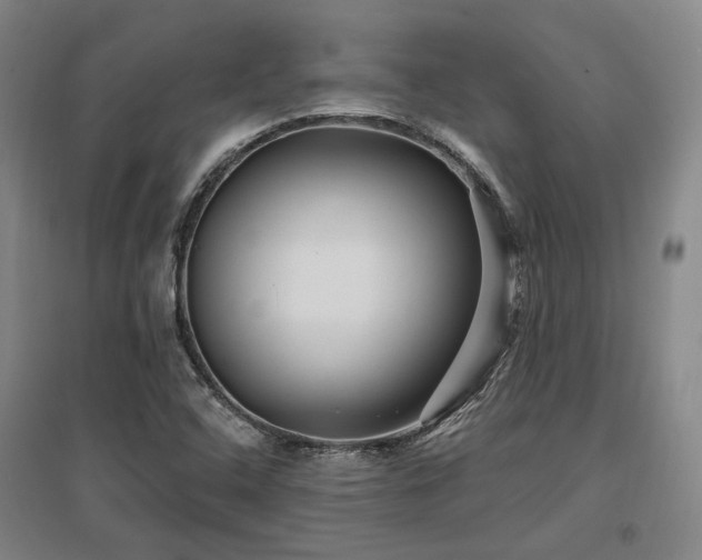 X0000097491408200802221404