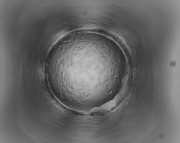 X0000097491409200802221405