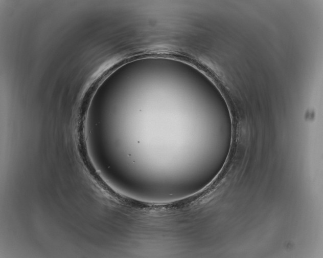 X0000097491410200802221405