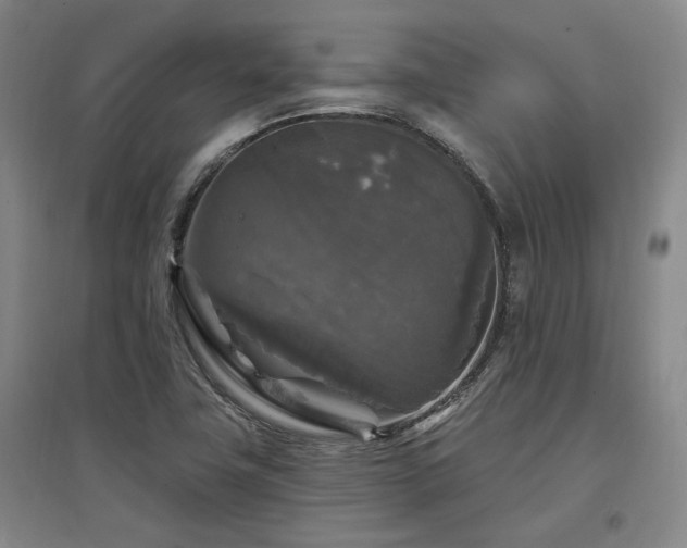 X0000097491411200802221405