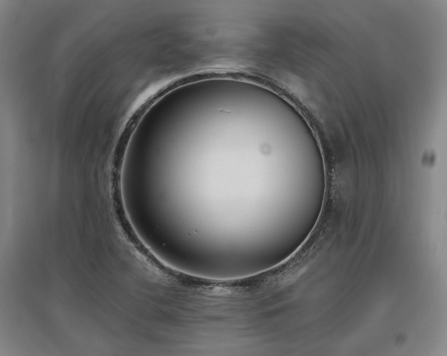 X0000097491412200802221405