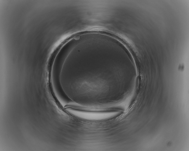 X0000097491414200802221405