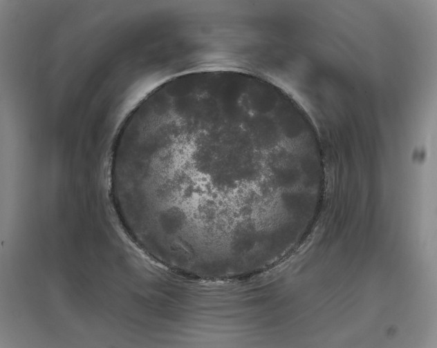 X0000097491415200802221405