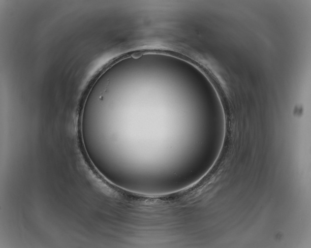 X0000097491416200802221405
