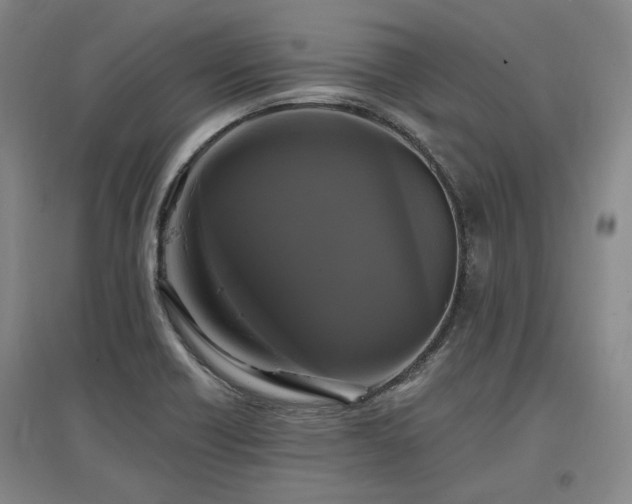 X0000097491418200802221405
