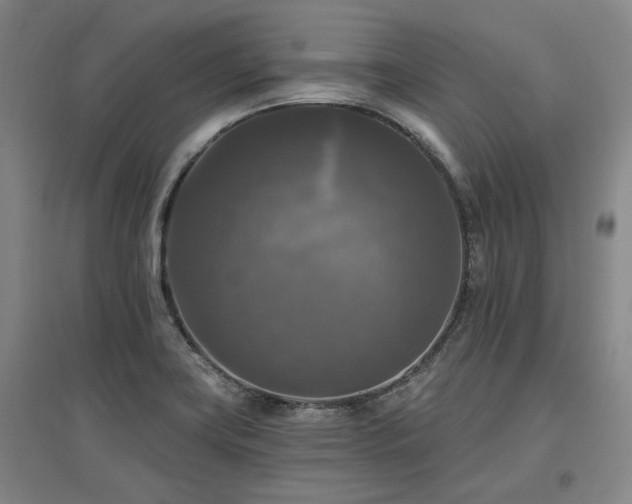 X0000097491419200802221405