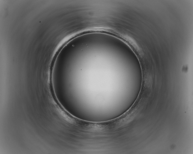 X0000097491420200802221405