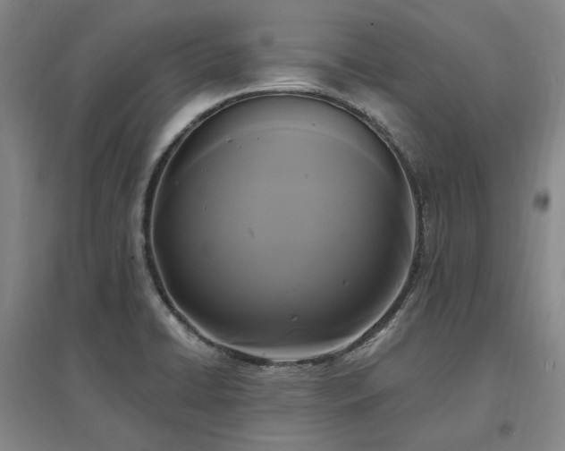 X0000097491422200802221405