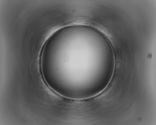 X0000097491423200802221405