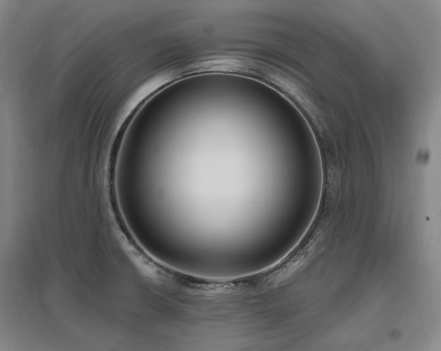 X0000097491426200802221405