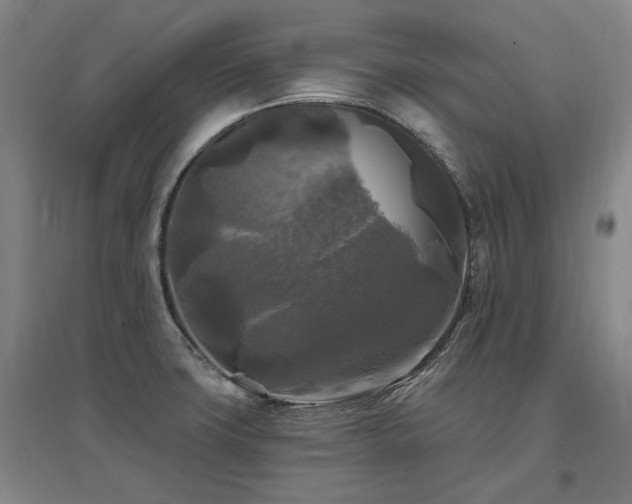 X0000097491427200802221405