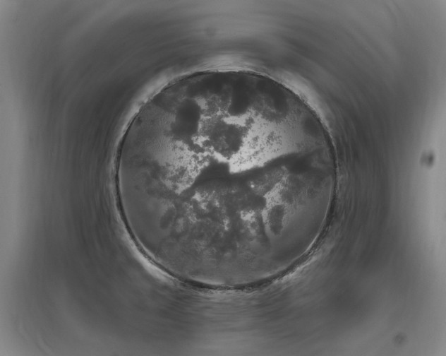 X0000097491429200802221405