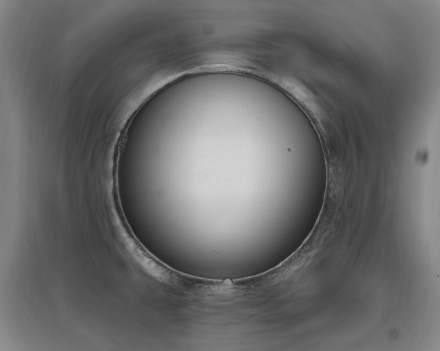 X0000097491431200802221405