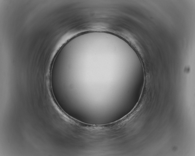 X0000097491432200802221405