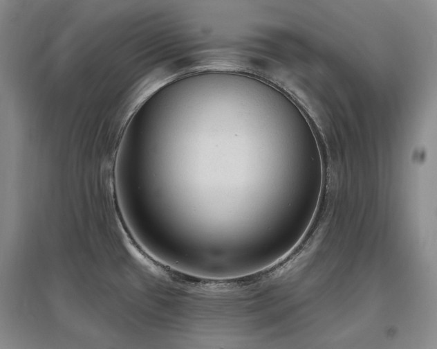 X0000097491433200802221405