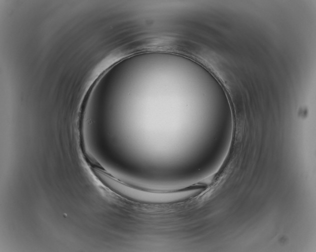 X0000097491434200802221405