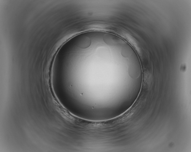 X0000097491435200802221405