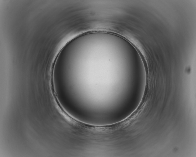 X0000097491437200802221405
