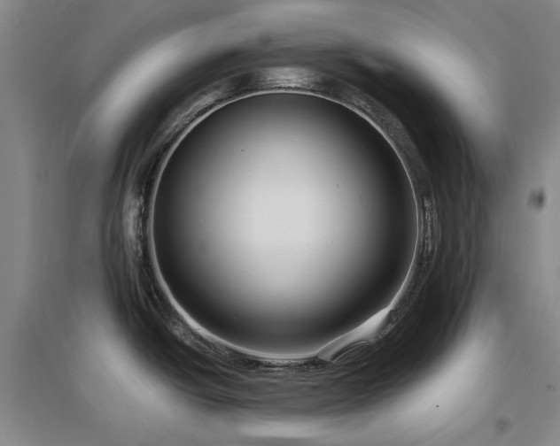 X0000097491438200802221405