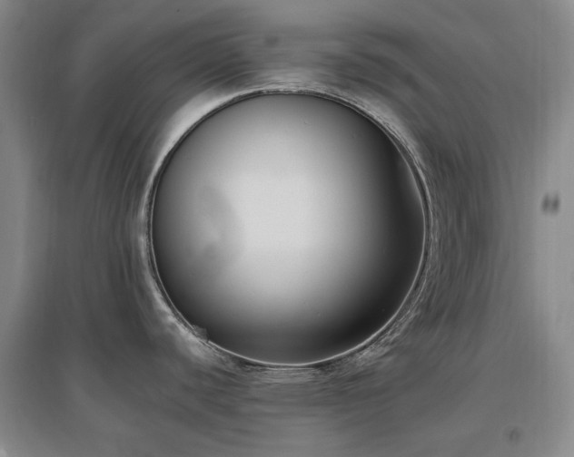 X0000097491440200802221405
