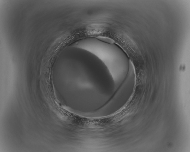 X0000097491441200802221404